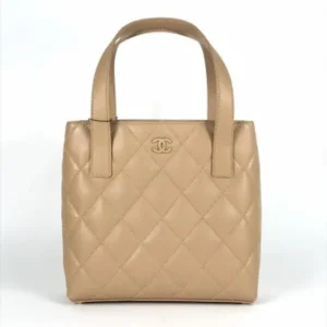 Chanel wild stitch tote bag 