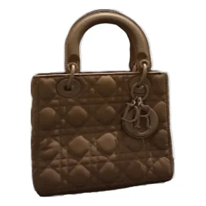 DIOR Lady Dior