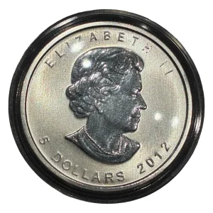 PT1000 Platinum Maple Leaf Coin